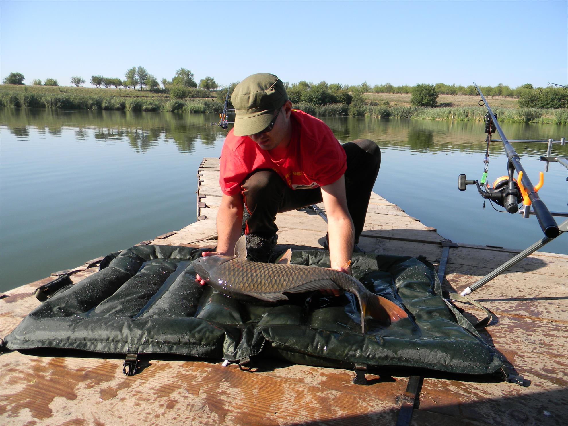 Debut mania 3-6 sep 2012 - dscn7385.JPG